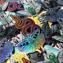 Load image into Gallery viewer, Mystery sticker pack! (6pc)