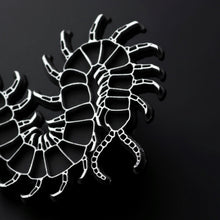 Load image into Gallery viewer, Centipede wall plaque