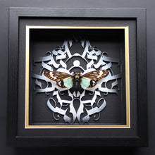 Load image into Gallery viewer, Calligraphy Movement Spledid Cicada