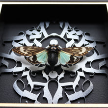 Load image into Gallery viewer, Calligraphy Movement Spledid Cicada