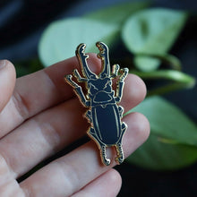 Load image into Gallery viewer, Stag Beetle enamel pins
