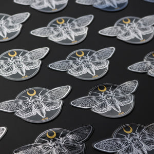 Cicada sticker