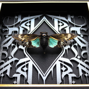 Splendid Blue Calligraphy Cicada